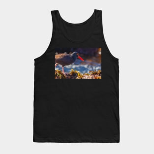 Oystercatcher Tank Top